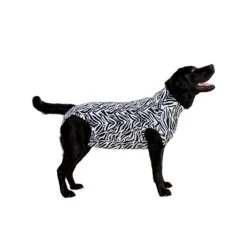 Medical Pet Shirt Hond Zebra Print -Dierenvriend Kortingshuis 0f9a9f5fffdff5efe6594b6dde2fa2ebe79eb5a6ac69d24ed2fecf0d63c927a3 4