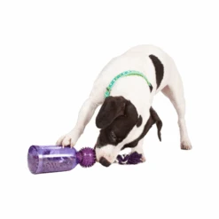 PetSafe Tug-a-Jug 11 PetSafe Tug-a-Jug -Dierenvriend Kortingshuis 1MQpKWRKSyJNPCKfPtdB9vZtkH8zrq metacGV0c2FmZV90dWdfYV9qdWdfMjE2MzM1XzA1MDBfbm9uZS5wbmc