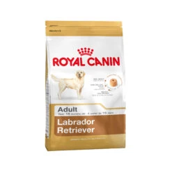 Royal Canin Labrador Retriever Adult - Hondenvoer -Dierenvriend Kortingshuis 3da42596fc5f963c49b1dc4e1754d73bd808f78519e1d01deaf431f4a8f121d5 4