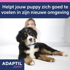Adaptil Halsband - Junior -Dierenvriend Kortingshuis 3gIEoBqQiP1u6QnSYa9iRNNOP2PfnQ metaQWRhcHRpbC1KdW5pb3ItY29sbGFyLUNhcm91c3NlbC0yLmpwZw