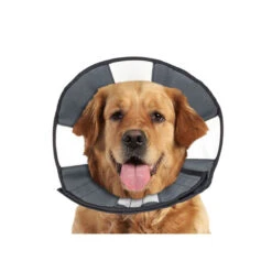 ZenPet Zen Collar -Dierenvriend Kortingshuis 42632697f58b74687d0cc6e5667726aaa48c9d32d79572e899c774c0d12960b9 3