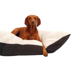 51 Degrees North Sheep Pillow -Dierenvriend Kortingshuis 51 degrees north sheep pillow 208970 1000 none