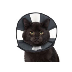 ZenPet Zen Collar -Dierenvriend Kortingshuis 5fa3157a14f70df4dd8f78f7dfb875f7f1cb86091b42f76f641d5ca739d2fc19 3