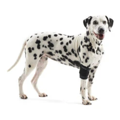 Kruuse Rehab Elleboogbeschermer 5 Kruuse Rehab Elleboogbeschermer -Dierenvriend Kortingshuis 707a1307f57d4b5032cf99e3784b03141ed01b9c9317fa83ee1f29943ae9e06b 4