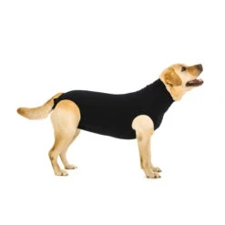 Suitical Recovery Suit Hond - Zwart -Dierenvriend Kortingshuis 7c9e38e38becaf51a464c162f0f2b270c8651ab39aa58cbcc00ab3261af8fa97 3