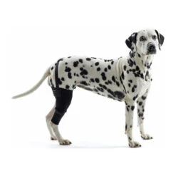 Kruuse Rehab Kniebeschermer 23 Kruuse Rehab Kniebeschermer -Dierenvriend Kortingshuis 9d9a74cb8d729bb487c5dba1171f1d184097accaf2536a54c49a74a7f7a3e7e6 3