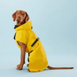 PAIKKA Visibility Raincoat Lite Yellow 9 PAIKKA Visibility Raincoat Lite Yellow -Dierenvriend Kortingshuis PClMHEr7OU9sOGs5uS5yRaglBqAzmp metaUGFpa2thLVZpc2liaWxpdHktUmFpbmNvYXQtTGl0ZS1ZZWxsb3czLmpwZw