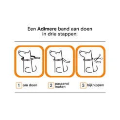 Adimere - Vlooienband 11 Adimere - Vlooienband -Dierenvriend Kortingshuis RzYZ43T9ujZs84WuEMzNjwOcFgA8jn metaYWRpbWVyZV9fdmxvb2llbmJhbmRfMjIwODIxXzA1MDBfbm9uZS5qcGc