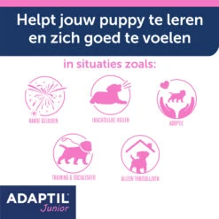 Adaptil Halsband - Junior -Dierenvriend Kortingshuis YeyWyxAVyMKjZHUQgZDeUtx9UISUUd metaQWRhcHRpbC1KdW5pb3ItY29sbGFyLUNhcm91c3NlbC0zLmpwZw