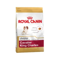 Royal Canin Cavalier King Charles Puppy - Hondenvoer -Dierenvriend Kortingshuis a08325876bf858d1a85320c3bfd03deb4d2dabb9d3f6d280a35d41719877bba0 3 5
