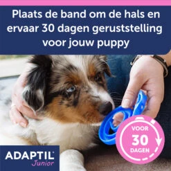 Adaptil Halsband - Junior -Dierenvriend Kortingshuis aKln5rnBRmAm6DSsJil7WMzLeFnBco metaQWRhcHRpbC1KdW5pb3ItY29sbGFyLUNhcm91c3NlbC01LmpwZw