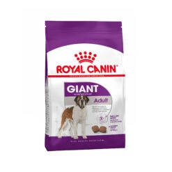 Royal Canin Giant Adult - Hondenvoer -Dierenvriend Kortingshuis aa79ff2f52da671964e5d64bdf268f1db22b949566d61012957cb8c242e3759a 4
