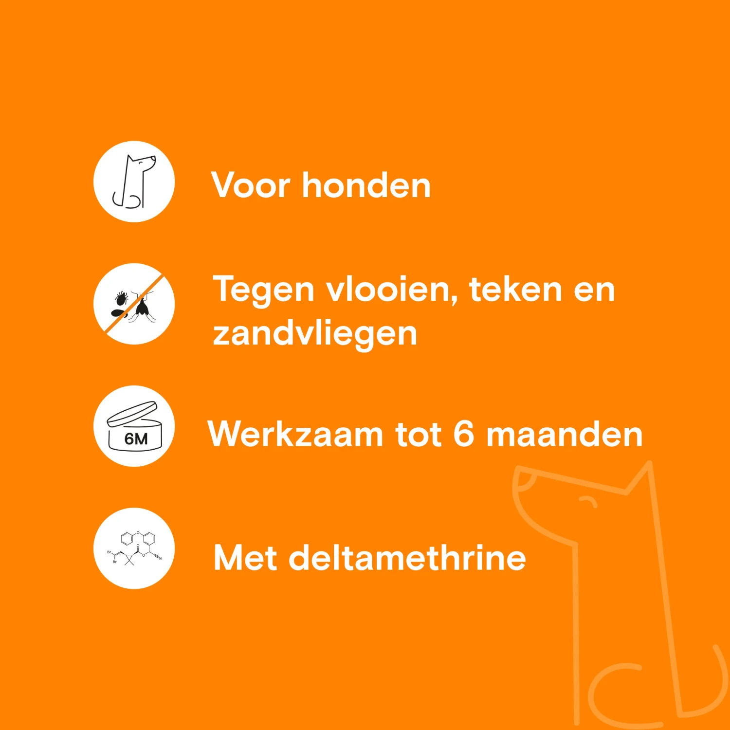 Adimere - Vlooienband 4 Adimere - Vlooienband - Afbeelding 4