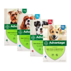 Advantage Hond 25 Advantage Hond -Dierenvriend Kortingshuis advantage hond 115905 2000 none