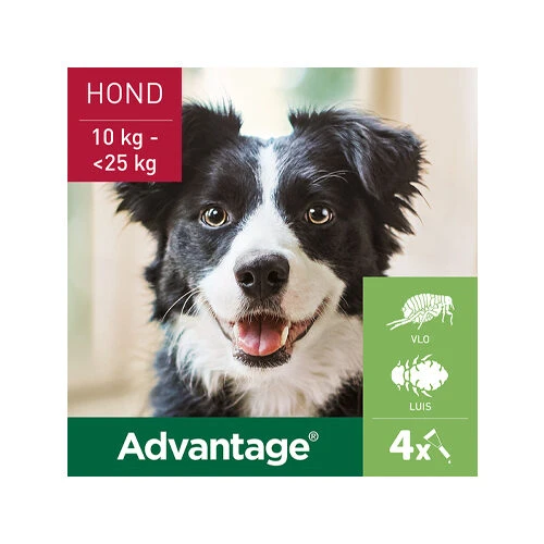 Advantage Hond 14 Advantage Hond - Afbeelding 14