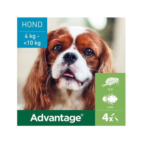 Advantage Hond 10 Advantage Hond - Afbeelding 10