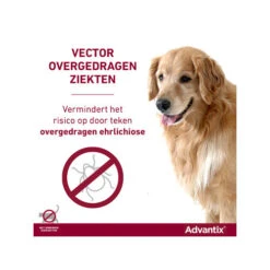 Advantix -Dierenvriend Kortingshuis advantix 174193 0500 none