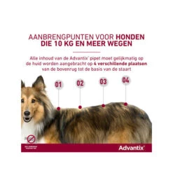 Advantix -Dierenvriend Kortingshuis advantix 174199 0500 none