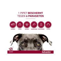 Advantix -Dierenvriend Kortingshuis advantix 174205 0500 none