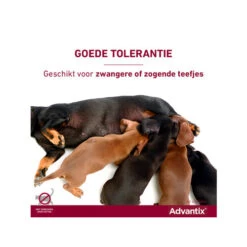 Advantix -Dierenvriend Kortingshuis advantix 174214 0500 none