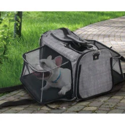 All For Paws AFP Travel Dog - Rolling Pet Carrier -Dierenvriend Kortingshuis afp travel dog rolling pet carrier 213521 0500 none