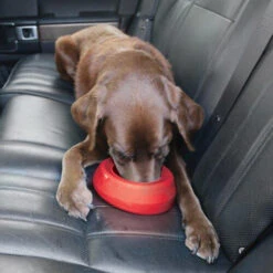 Kurgo Splash Free Wander Water Bowl -Dierenvriend Kortingshuis altranet splash free wander water bowl 222778 0500 none