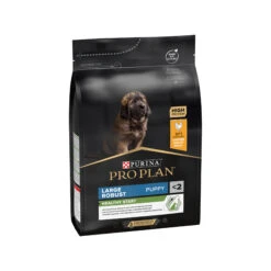Purina Pro Plan Dog Puppy - Large Breed -Dierenvriend Kortingshuis awBxDSSbRsIDmb0OdL7r3ZjejoZVi9 metaUHVyaW5hLVByby1QbGFuLUxhcmdlLUJyZWVkLVJvYnVzdC5qcGc