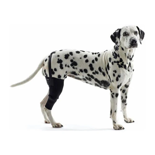 Kruuse Rehab Kniebeschermer 12 Kruuse Rehab Kniebeschermer - Afbeelding 12