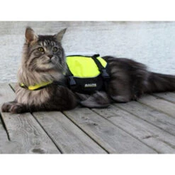 Baltic Kattenzwemvest Maja -Dierenvriend Kortingshuis baltic kattenzwemvest maja 178984 0500 none