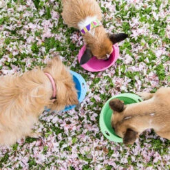 Beco Travel Bowl -Dierenvriend Kortingshuis beco travel bowl 136390 2000 none