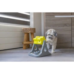 Beeztees Brain Game Rodar -Dierenvriend Kortingshuis beeztees brain game rodar 221756 2000 none