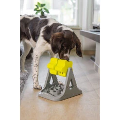 Beeztees Brain Game Rodar -Dierenvriend Kortingshuis beeztees brain game rodar 221757 2000 none