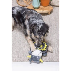 Beeztees Hide And Seek Koe 7 Beeztees Hide And Seek Koe -Dierenvriend Kortingshuis beeztees hide and seek koe 221777 2000 none