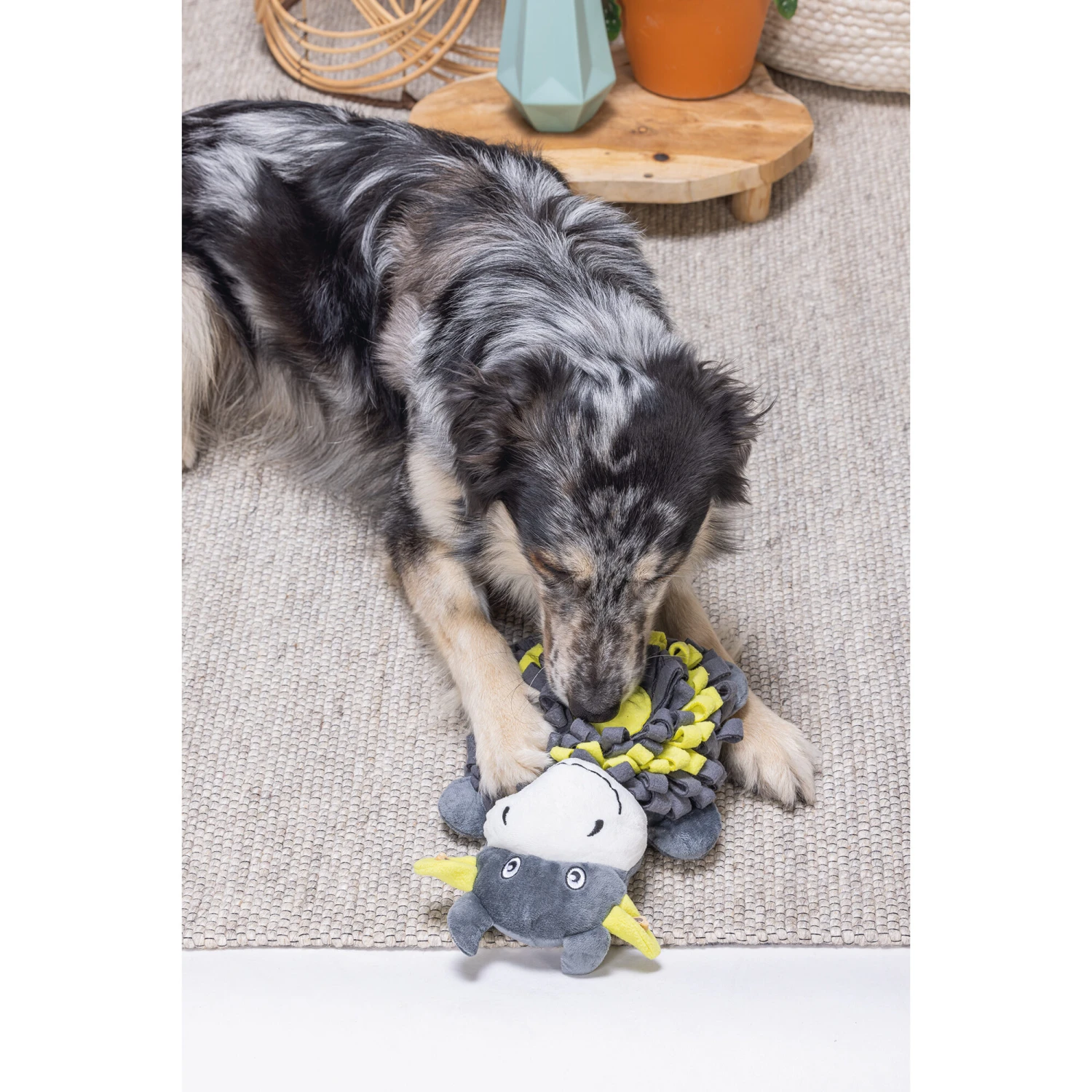 Beeztees Hide And Seek Koe 4 Beeztees Hide And Seek Koe - Afbeelding 4