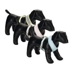 Beeztees Hondentuig -Dierenvriend Kortingshuis beeztees hondentuig 110062 0500 none