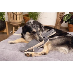 Beeztees Minus One Inktvis -Dierenvriend Kortingshuis beeztees minus one inktvis 188091 2000 none