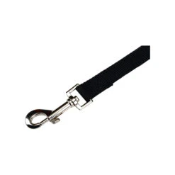 Beeztees Nylon Sliplijn -Dierenvriend Kortingshuis beeztees nylon hondenriem 198527 2000 none