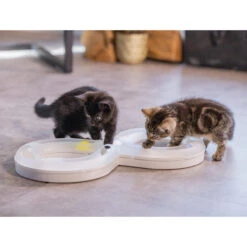 Beeztees Kitten Speelrail Agty 9 Beeztees Kitten Speelrail Agty -Dierenvriend Kortingshuis beeztees speelrail agty 216522 2000 none