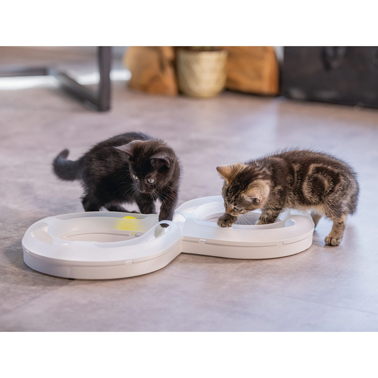 Beeztees Kitten Speelrail Agty 4 Beeztees Kitten Speelrail Agty - Afbeelding 4