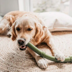 Beeztees Sumo Fit Stick 9 Beeztees Sumo Fit Stick -Dierenvriend Kortingshuis beeztees sumo fit stick 178435 1000 none