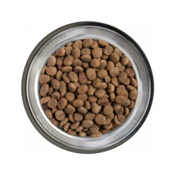 Belcando Finest Light -Dierenvriend Kortingshuis belcando finest light 217631 1000 none