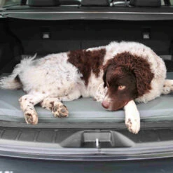 Bia Original Matras Grijs 14 Bia Original Matras Grijs -Dierenvriend Kortingshuis bia original matras grijs 164077 0500 none