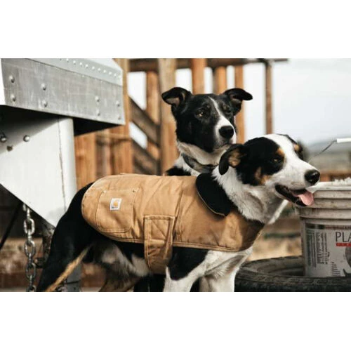 Carhartt Dog Chore Coat 6 Carhartt Dog Chore Coat - Afbeelding 6