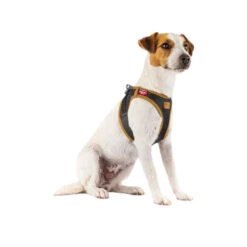 Curli Harnas Vegan Appelleer 33 Curli Harnas Vegan Appelleer -Dierenvriend Kortingshuis curli harnas vegan appelleer 216631 0500 none