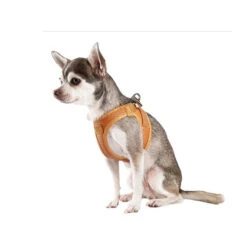 Curli Harnas Vegan Appelleer 31 Curli Harnas Vegan Appelleer -Dierenvriend Kortingshuis curli harnas vegan appelleer 216633 0500 none