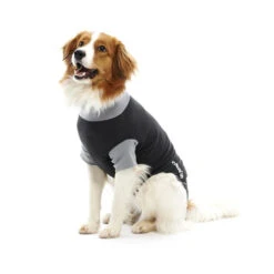 Buster Bodysuit -Dierenvriend Kortingshuis d25b34b1e804bd859c642203c44f87ecf3bfb2beab1a107d94587a5a1cc5c024 3