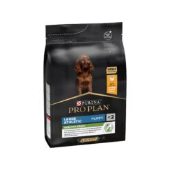 Purina Pro Plan Dog Puppy - Large Breed -Dierenvriend Kortingshuis dU70BJbmRXzQ8Dr0cGHov2aotxkGjW metaUHVyaW5hLVByby1QbGFuLUxhcmdlLUJyZWVkLUF0aGxldGljLmpwZw