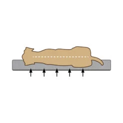 Beeztees Bench Kussen Ito -Dierenvriend Kortingshuis dceuWwK8iG2ChIkyH137X4AsWeqcwX metaQmVlenRlZXMtTWVtb3J5LUZvYW0tVW1hLUhvbmRlbm1hbmQtb3J0aG9wZWRpc2NoLTIuanBn