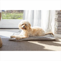 Designed By Lotte Benchkussen Gisel -Dierenvriend Kortingshuis designed by lotte benchkussen gisel 221518 1500 none