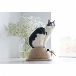 Designed By Lotte Halve Krabbol Vivi 7 Designed By Lotte Halve Krabbol Vivi -Dierenvriend Kortingshuis designed by lotte halve krabbol vivi 221562 1500 none